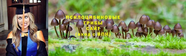 хмурый Верхний Тагил